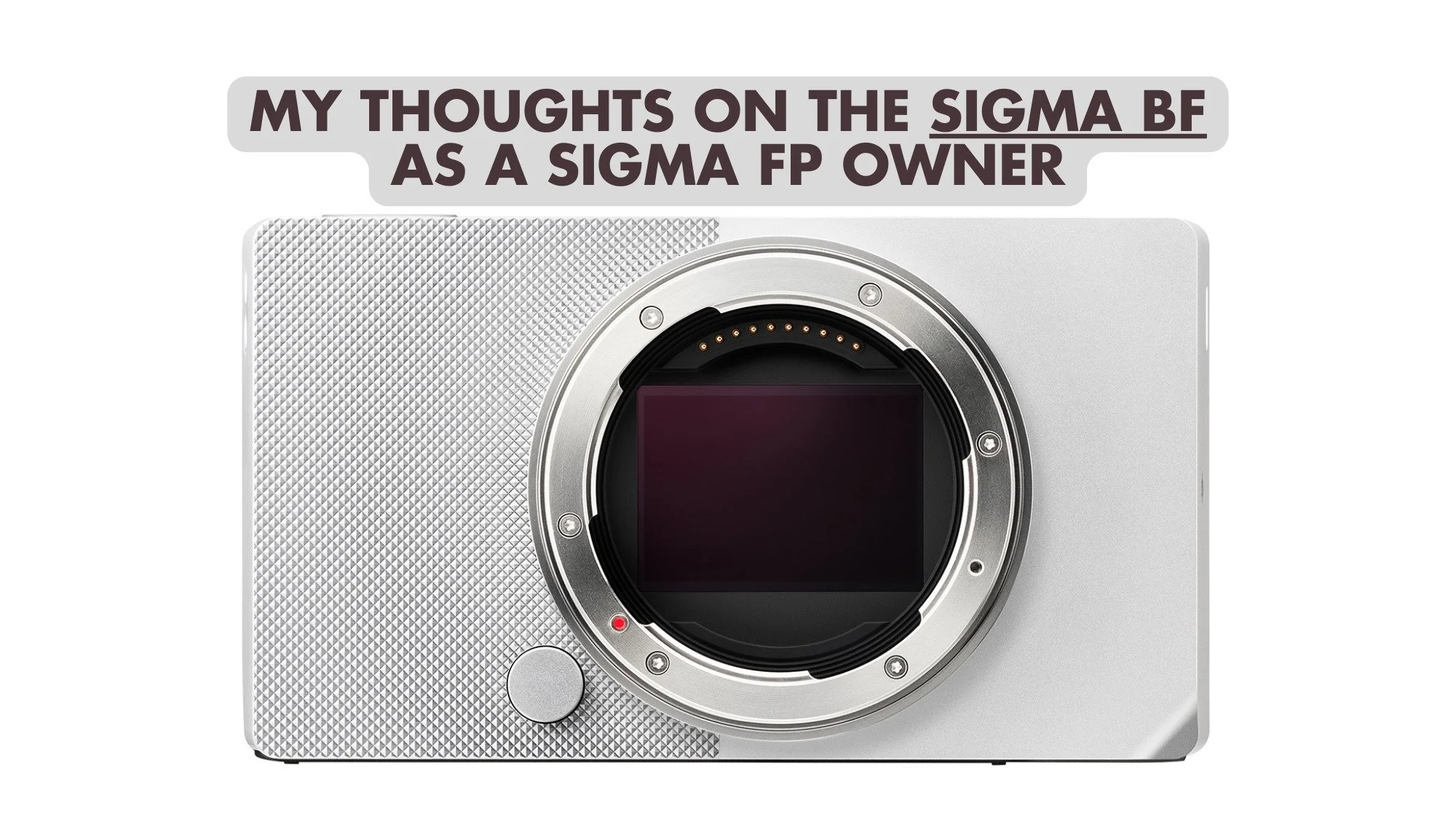My Thoughts on the Sigma BF as a Sigma FP Owner - 5 Pros and 5